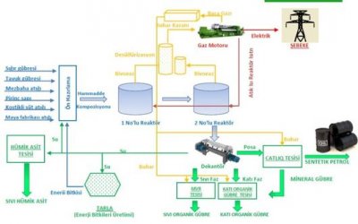 hayvansal-atiklardan-sentetik-petrol-uretecekler-1.jpg