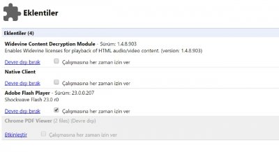 google eklenti.jpg