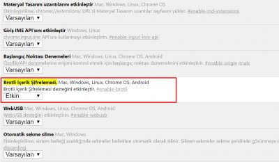 google barotli özelliği.jpg