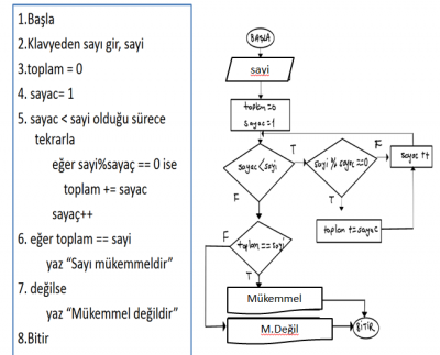 mükemmel sayı.png