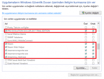 Windows Güvenlik Duvarı.PNG