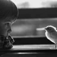 osman_sa77
