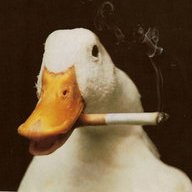 DuckMan