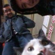 Candemir