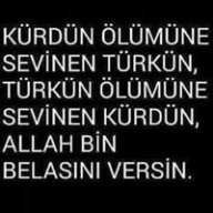 mesutçelik