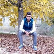 Haydar.tam2016