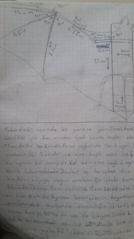 20160725_135353.jpg