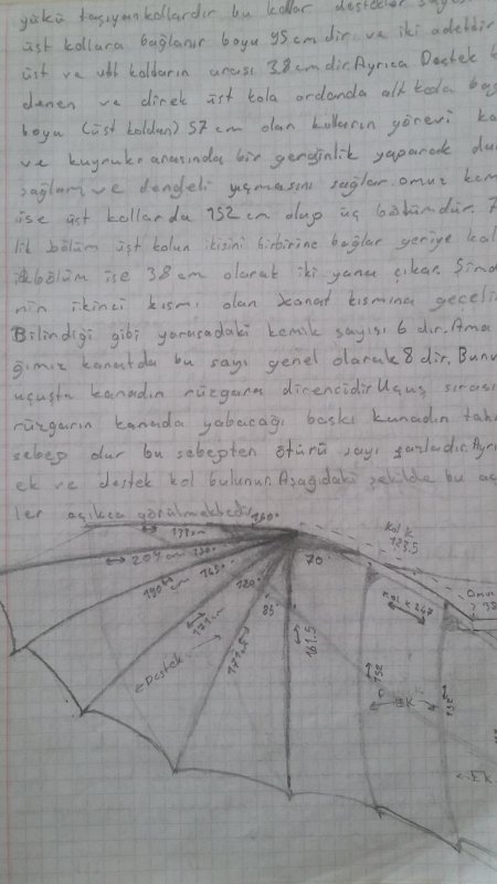 20160725_135434.jpg