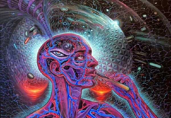 dmt-nedir.jpg