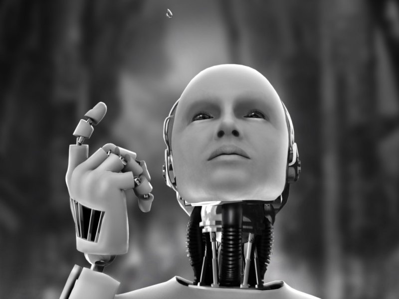 Robot.jpg
