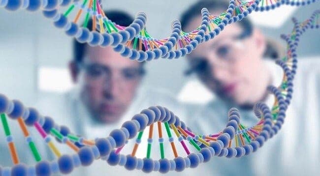 kodlamayan dna nedir