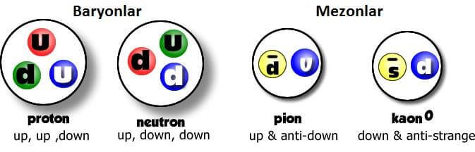 baryonlar ve mezonlar nelerdir