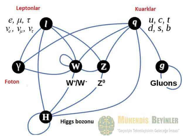 foton ve higgs bozunu