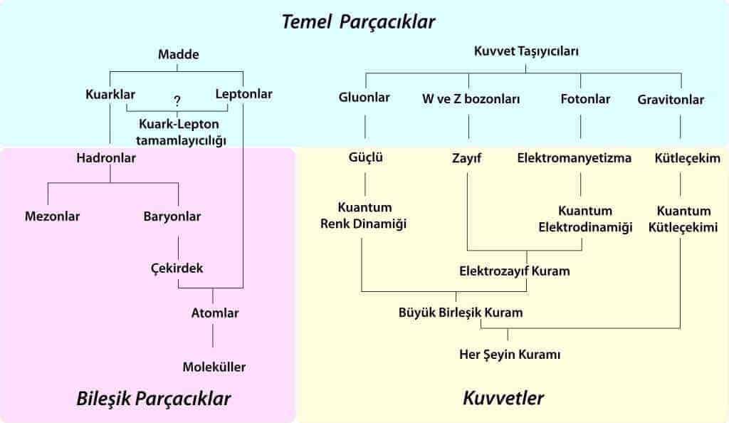 atom altı parçacıkları