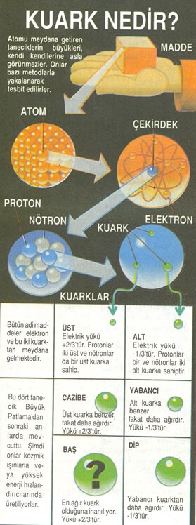 kuark nedir