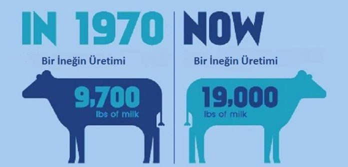 süt üretimindeki değişim