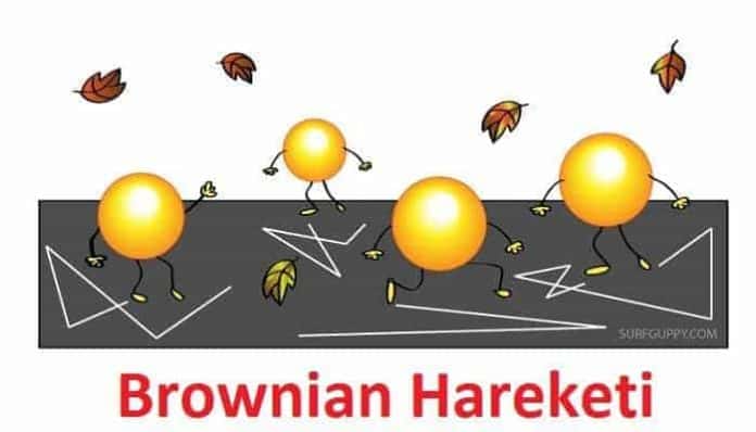 brownian hareketi