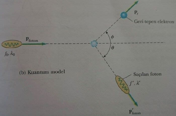 kuantum modeli