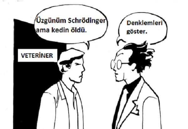 Schrodingerin Kedisi ve Schrodinger Denklemi