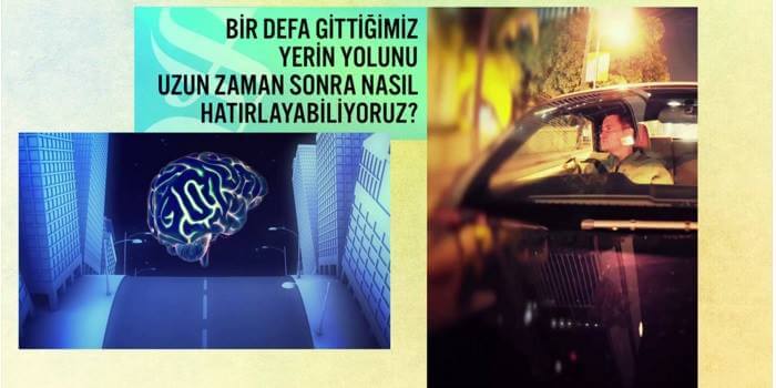 beynin yer belirleme sistemi