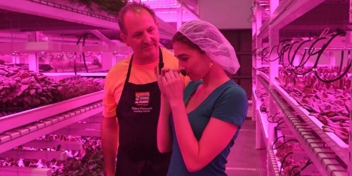 gıdanın geleceği green sense farms gıdanın geleceği green sense farms