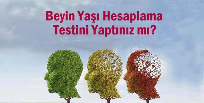 beyin yaşı hesaplama testi