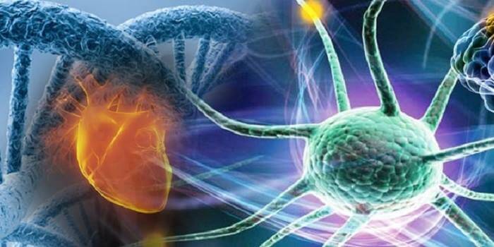 biyokimyasal tepkimeler nedir ve biyoteknoloji nedir biyokimyasal tepkimeler nedir ve biyoteknoloji nedir
