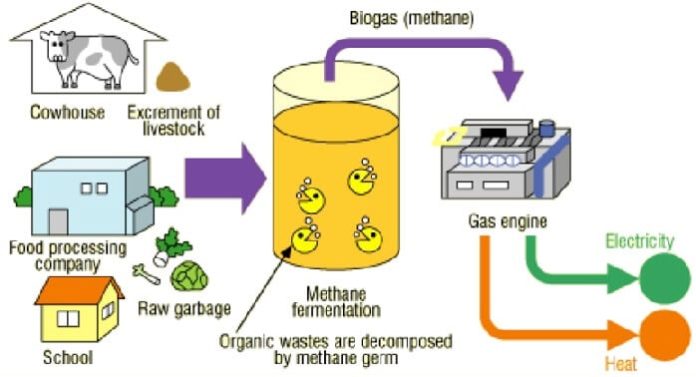 organik atıklardan biyogaz üretimi nasıl