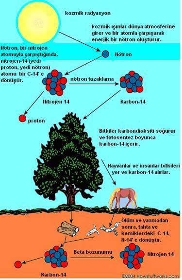 radyokarbon tarihleme nedir