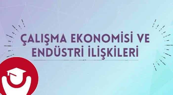 Çalışma Ekonomisi Ve Endüstri İlişkileri Nasıl Bir Bölüm Çalışma Ekonomisi Ve Endüstri İlişkileri Nasıl Bir Bölüm