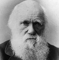 darwin