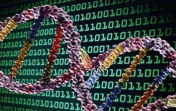 Depolanabilir DNA Depolanabilir DNA