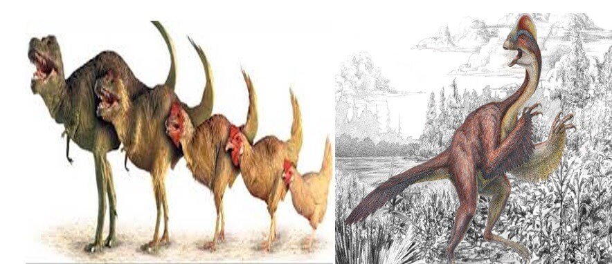 dinozorlar dinozorlar