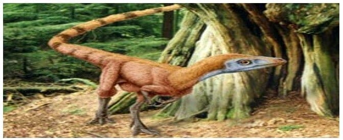 sinosaurpteryx