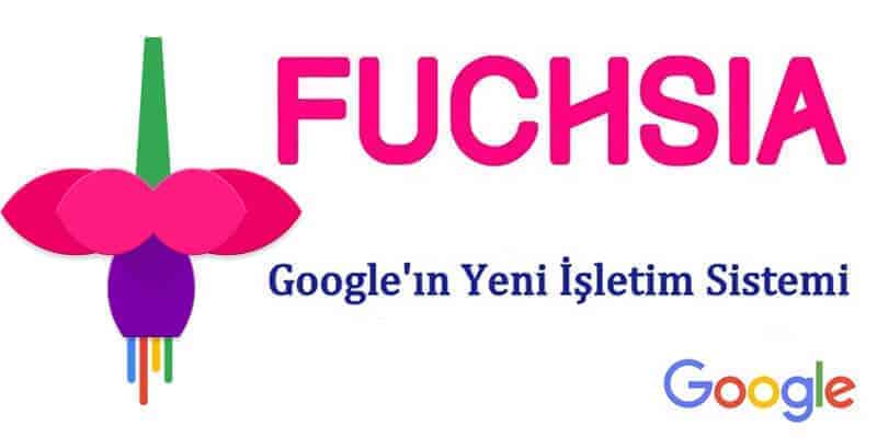 Fuchsia Fuchsia