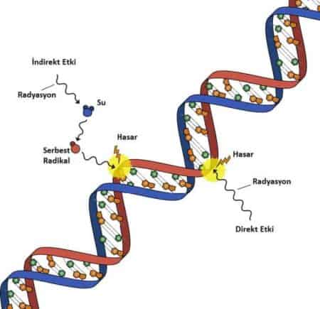 gama-isinlama-sterilizasyonu