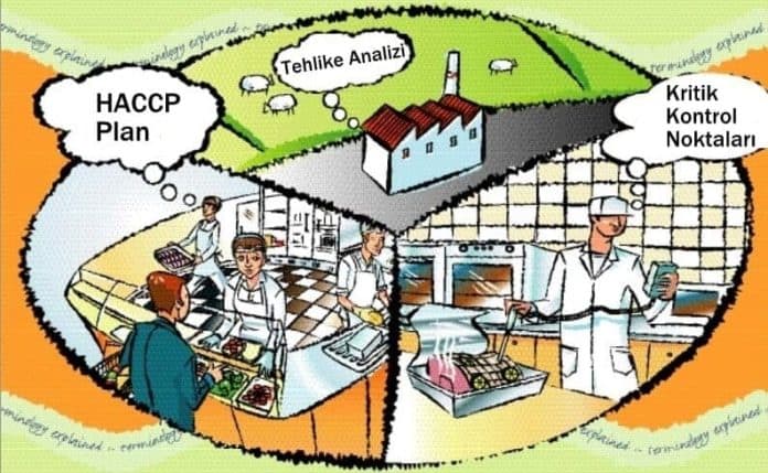 haccp