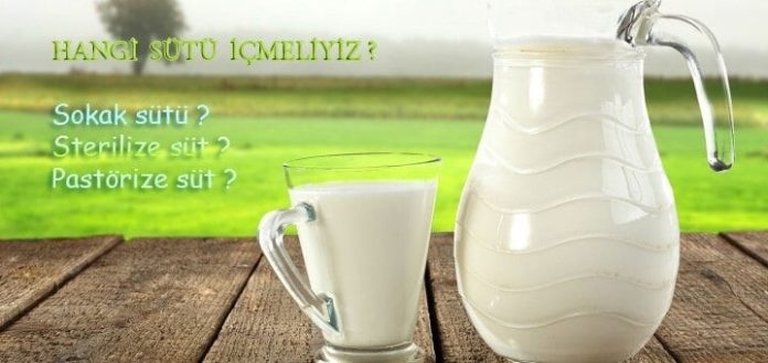 hangi-sutu-icmeliyiz