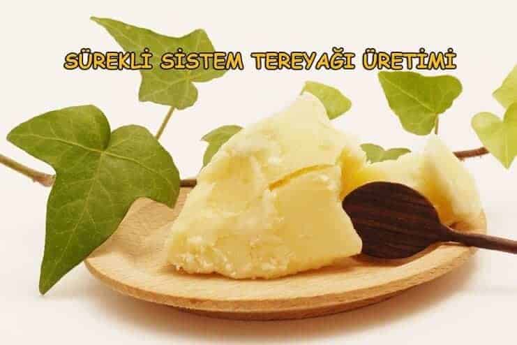 tereyag-uretimi-nasil-yapilir tereyag-uretimi-nasil-yapilir