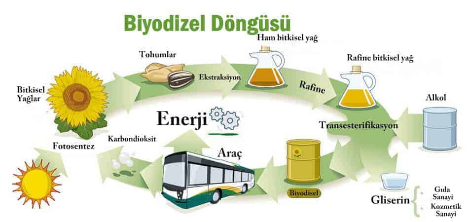 biyodizel döngüsü biyodizel döngüsü