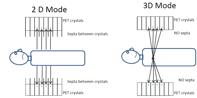 pet 2d ve 3d görüntü oluşumu