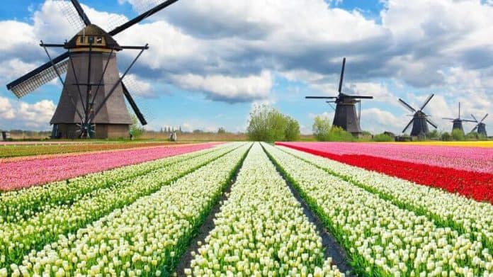 hollanda