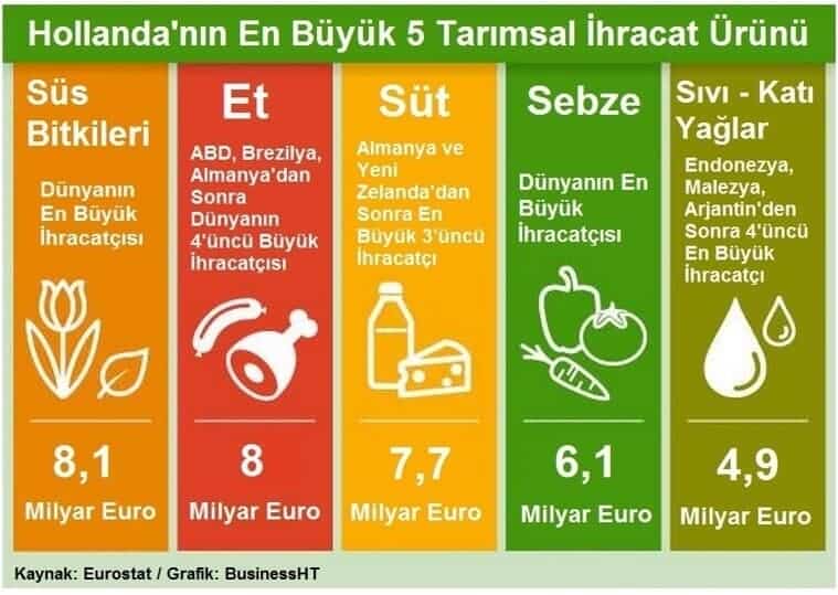 hollandanin-en-buyuk-5-tasarimsal-ihracat-urunu.jpg