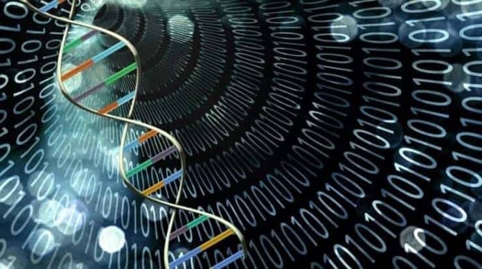 DNA Bilgisayarı