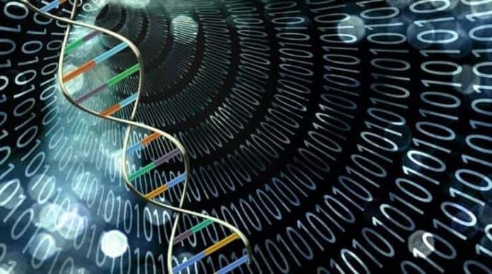 DNA Bilgisayarı