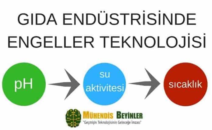 Gıda Endüstrisinde Engeller Teknolojisi