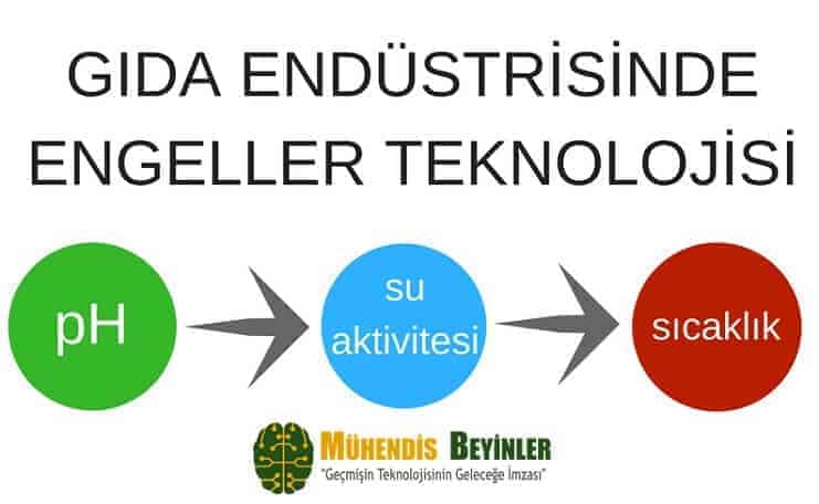 Gıda Endüstrisinde Engeller Teknolojisi Gıda Endüstrisinde Engeller Teknolojisi