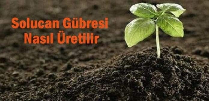 solucan gübresi nedir nasıl üretilir