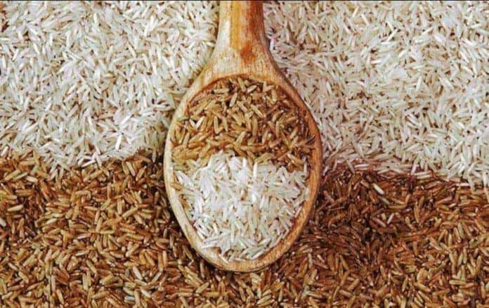 Pirinç ve GDO Gerçeği