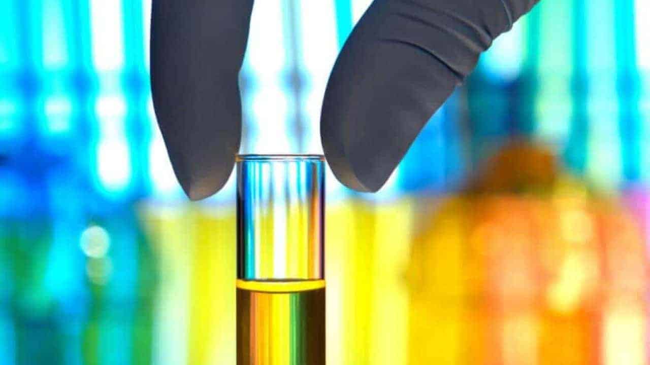 Boya Sanayicilerinin Avrupa Daki Hedefi Indergi Ist Insaatcilar Dern Aylik Dergisi